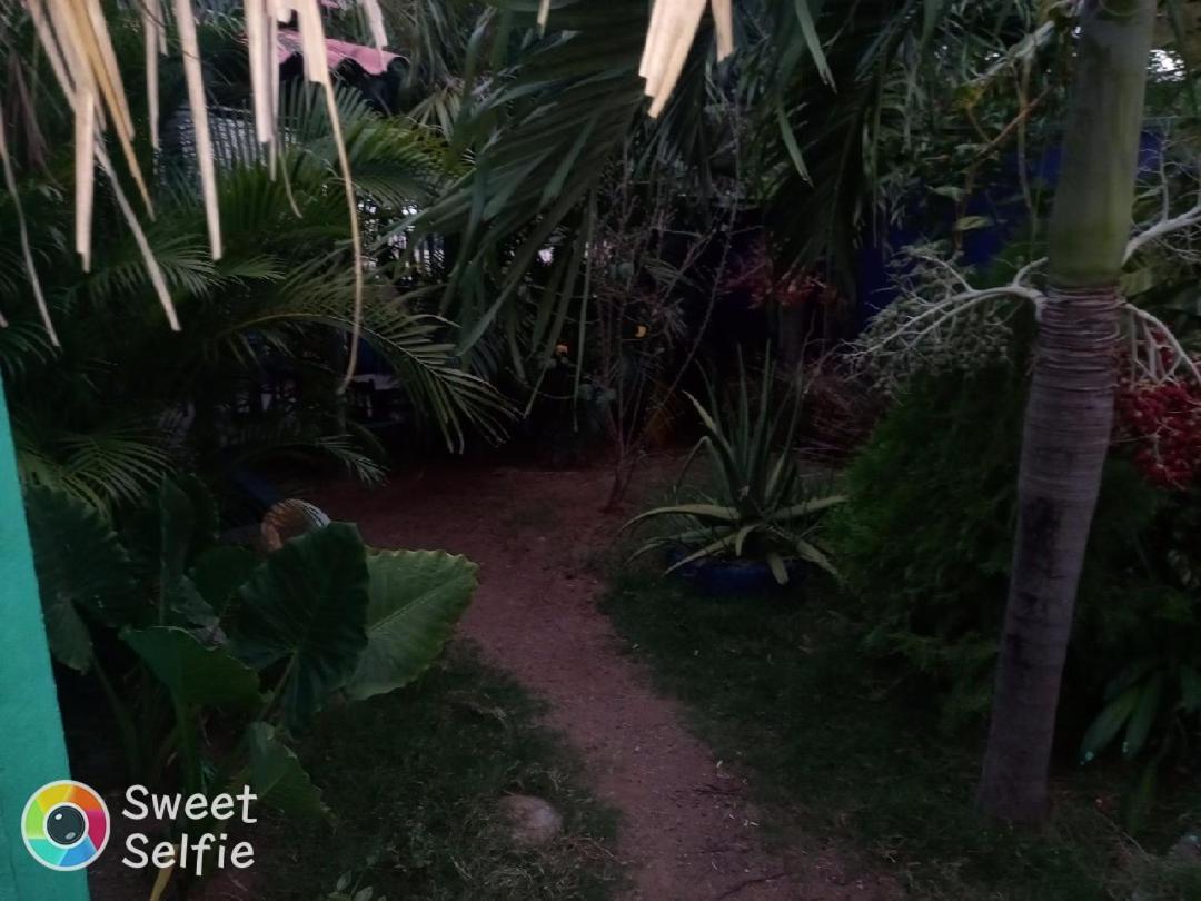 La Cascada Hostel & Restaurant Ривас Экстерьер фото